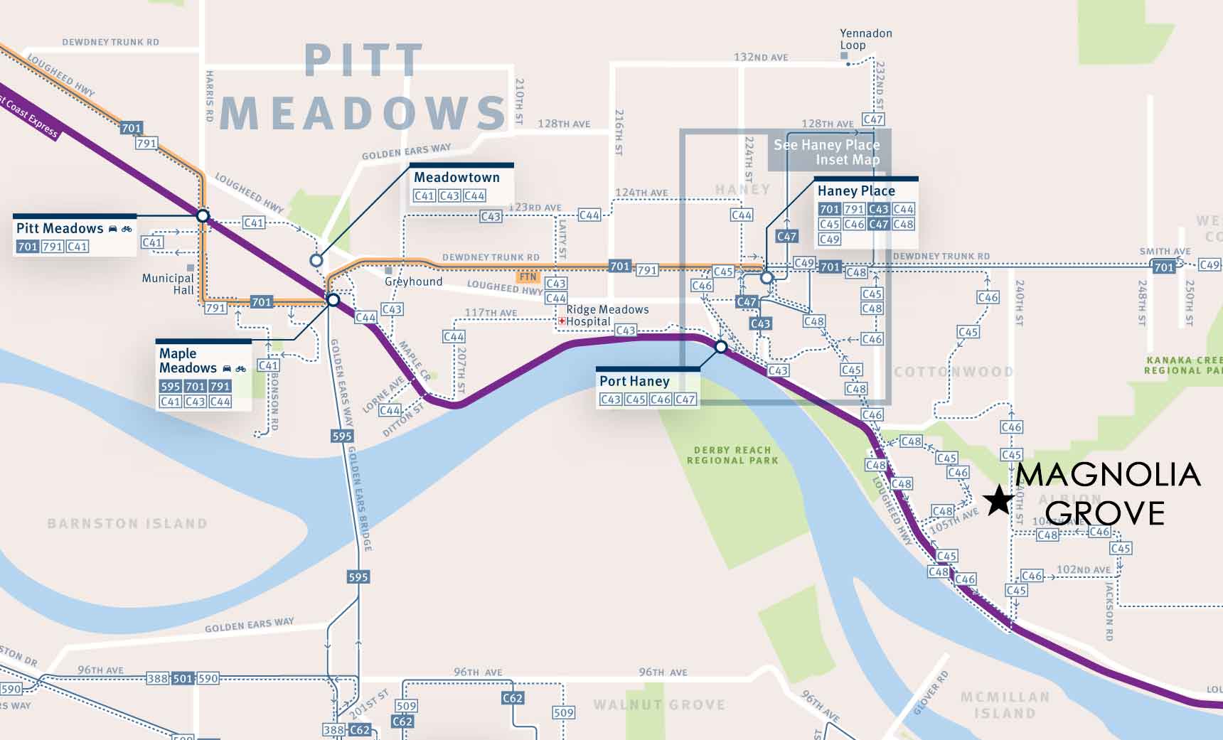 Translink Bus Route